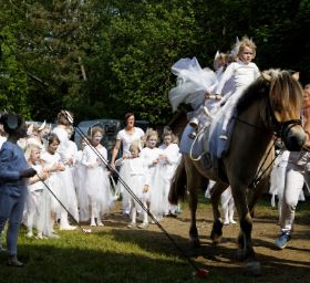 Schneeelfen auf Piet